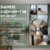 Duplex condo near BTS Siamese Sukhumvit 48